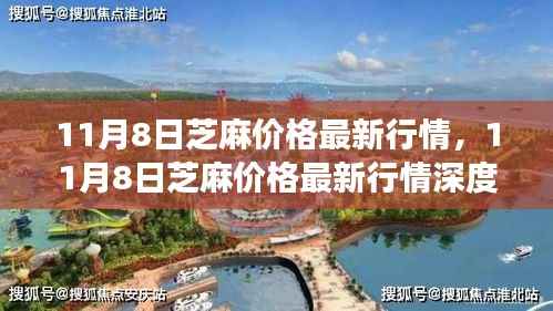 芝麻最新行情解析，多方观点碰撞与个人立场阐述