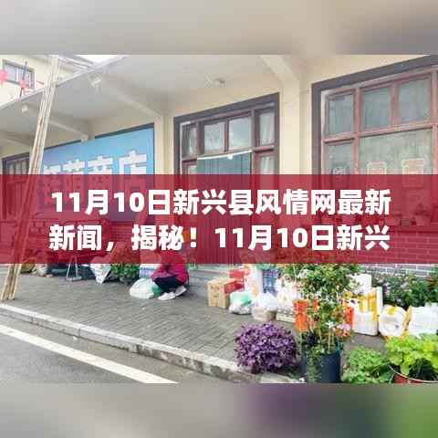 独家揭秘,新兴县风情网小巷深处的隐藏美食,独特小店美味探险之旅
