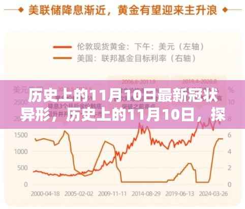 历史上的11月10日,全面探究最新冠状异形,掌握深入了解的技能步骤指南