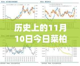 历史上的11月10日,菜柏价格背后的励志故事与最新行情,自信成就感的源泉