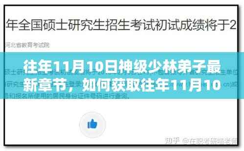 往年11月10日神级少林弟子最新章节获取指南与详细步骤