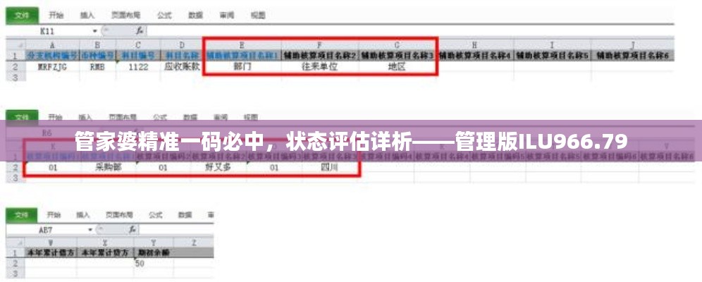 管家婆精准一码必中,状态评估详析——管理版ILU966.79