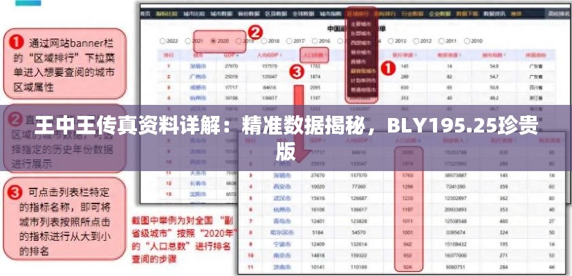 王中王传真资料详解:精准数据揭秘,BLY195.25珍贵版