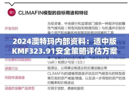 2024澳特玛内部资料:适中版KMF323.91安全策略评估方案