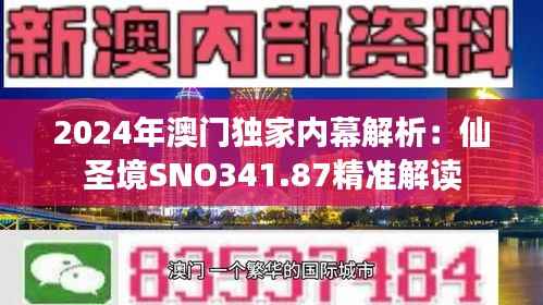 2024年澳门独家内幕解析:仙圣境SNO341.87精准解读