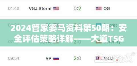 2024管家婆马资料第50期:安全评估策略详解——大道TSG370.3版