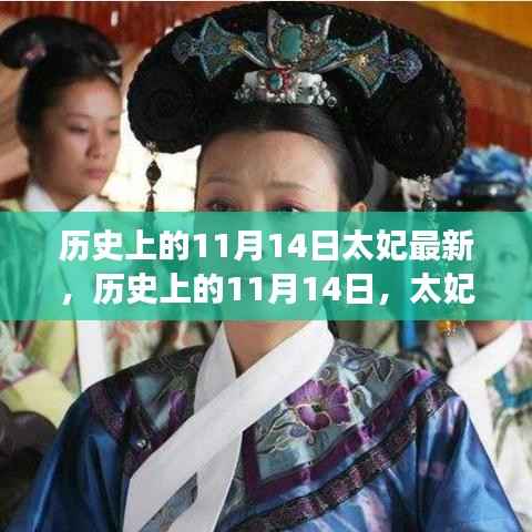 历史上的11月14日太妃传奇,最新解读与影响全解析