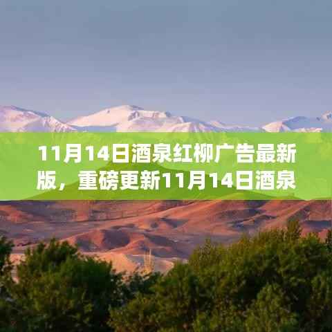 11月14日酒泉红柳广告最新版,重磅更新,精彩纷呈
