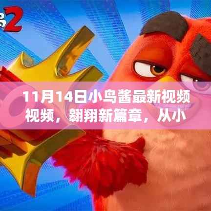 小鸟酱翱翔新篇章,学习变化的力量揭秘视频首曝