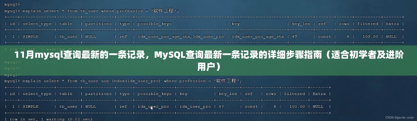 MySQL查询最新记录步骤详解,从初学者到进阶用户的指南