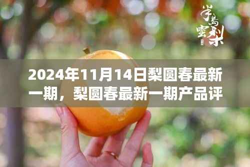 梨圆春产品评测报告,特性、体验、对比与用户需求深度解析