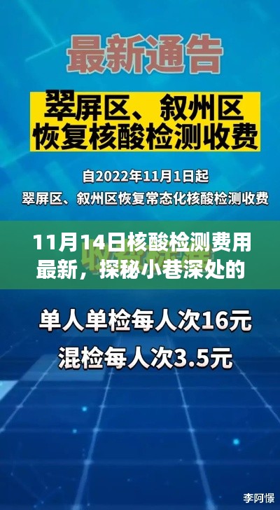 探秘核酸检测宝藏店,揭秘最新核酸检测费用新鲜事(11月14日更新)
