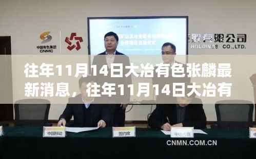往年11月14日大冶有色张麟的最新消息及其多维度探讨