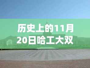 哈工大双一流最新消息及历史进展详解,获取全攻略与重要进展回顾