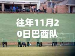 巴西队最新动态与小巷探秘,揭秘背后秘密与最新消息