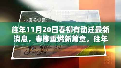往年11月20日春柳动迁最新消息揭秘,开启新篇章的全面解析