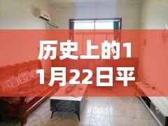 历史上的11月22日平原温馨租房奇遇记，家缘际会与最新租房信息