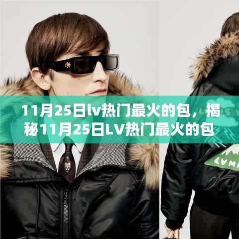 揭秘LV最火包款,引领时尚潮流的风向标(11月25日热门推荐)