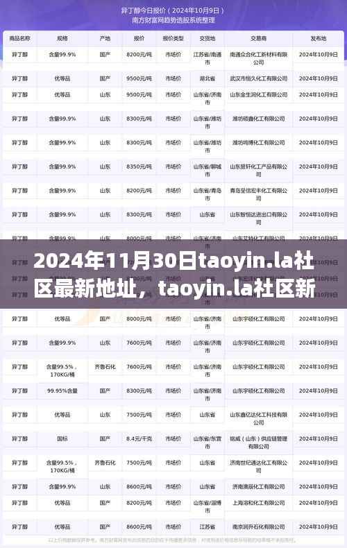 2024年11月30日taoyin.la社区新址展望,机遇与挑战并存
