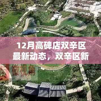 公司概况 第172页