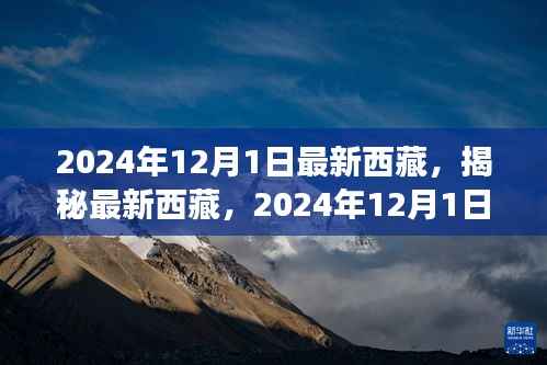 揭秘最新西藏,2024年西藏之旅的精彩瞬间(独家报道)