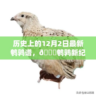 揭秘历史上的鹌鹑新纪元,最新鹌鹑谱智能科技产品揭秘与回顾