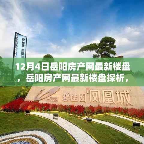 岳阳房产网最新楼盘深度解析，投资价值的探究