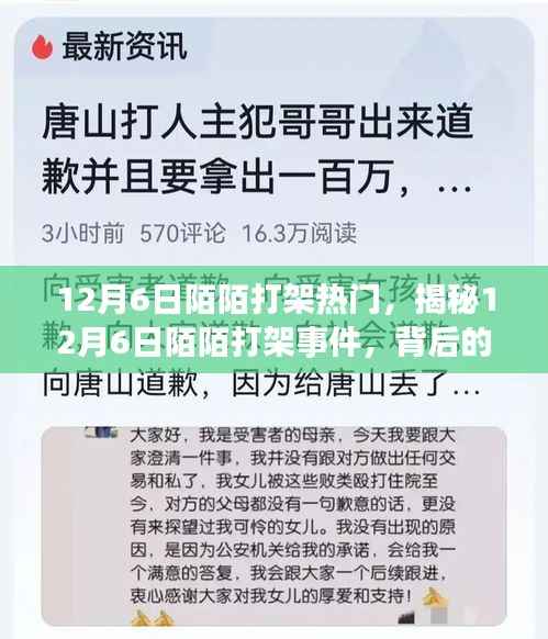 揭秘,12月6日陌陌打架事件背后的原因与影响热议风潮
