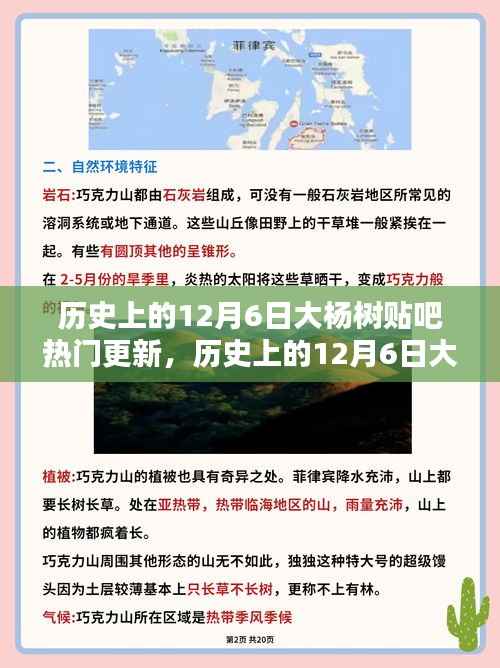 历史上的12月6日大杨树贴吧热门更新，深度分析与观点阐述