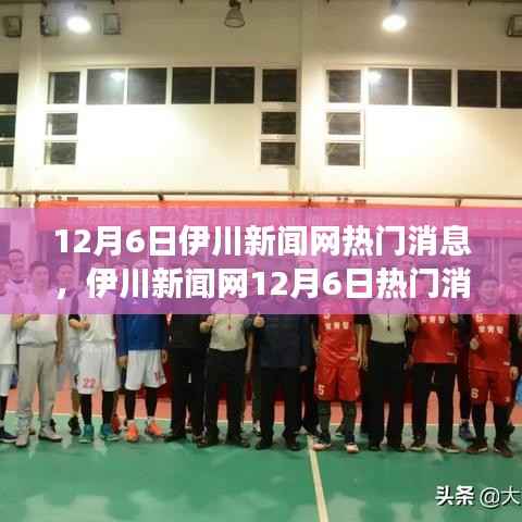 伊川新闻网12月6日热门消息阅读指南,掌握新闻阅读技能与步骤