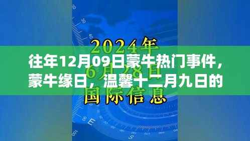 往年12月09日蒙牛热门事件,蒙牛缘日,温馨十二月九日的故事