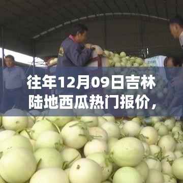 吉林瓜香四溢的日子,瓜农的温馨故事与陆地西瓜热门报价回顾