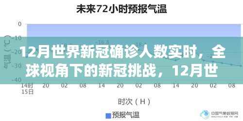 全球视角下的新冠挑战,12月世界新冠确诊人数实时分析