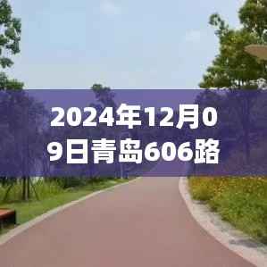青岛606路,奇遇与温情的陪伴之旅(实时位置更新)