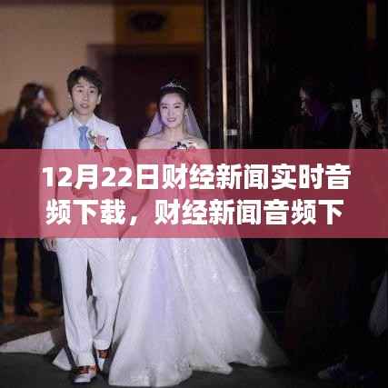 12月22日财经新闻实时音频下载,深度探讨与观点争议