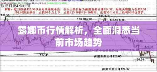 露娜币行情解析,全面洞悉当前市场趋势