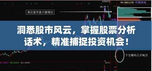 洞悉股市风云,掌握股票分析话术,精准捕捉投资机会!