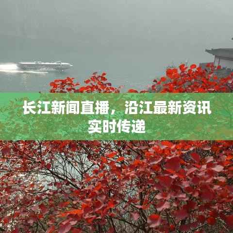 长江新闻直播,沿江最新资讯实时传递