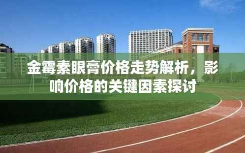 金霉素眼膏价格走势解析,影响价格的关键因素探讨