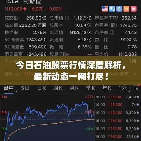 联系我们 第113页
