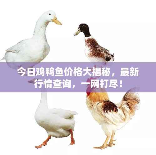 造价咨询 第109页