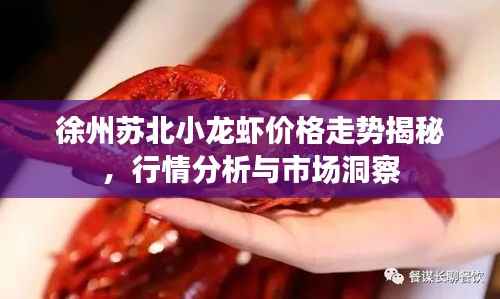 徐州苏北小龙虾价格走势揭秘,行情分析与市场洞察