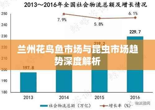 兰州花鸟鱼市场与昆虫市场趋势深度解析