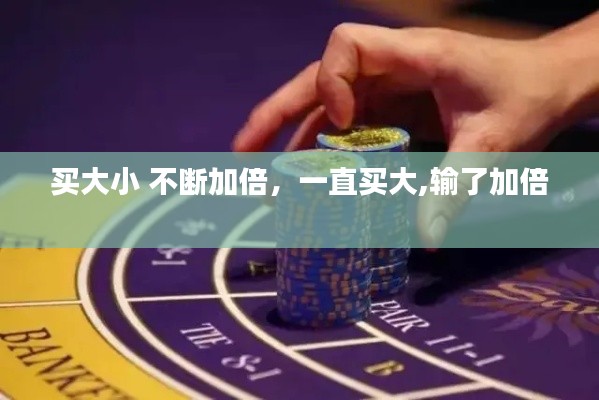买大小 不断加倍,一直买大,输了加倍