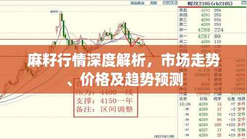 麻籽行情深度解析,市场走势、价格及趋势预测