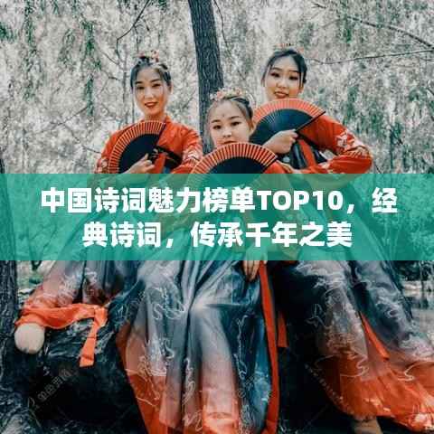 中国诗词魅力榜单TOP10,经典诗词,传承千年之美
