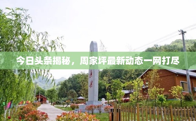 今日头条揭秘,周家坪最新动态一网打尽