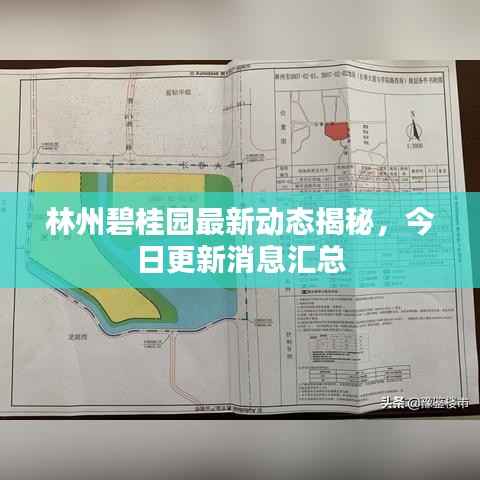 林州碧桂园最新动态揭秘,今日更新消息汇总