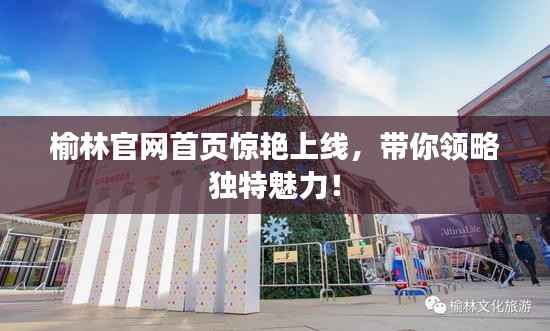 榆林官网首页惊艳上线,带你领略独特魅力!