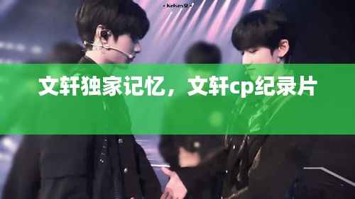 文轩独家记忆,文轩cp纪录片